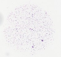 Virtual Body Fluid (VBF)
